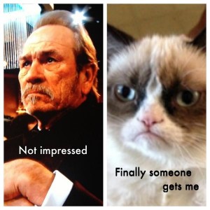 grumpy cat tommy lee jones