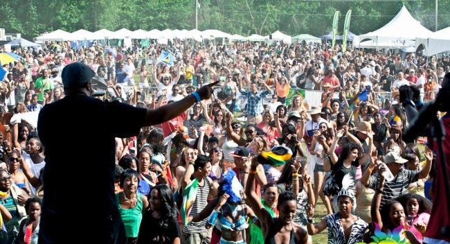 carivibe2012