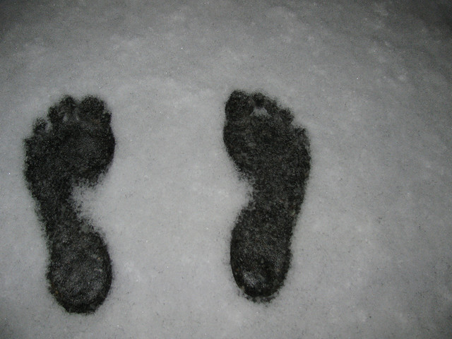 winter feet