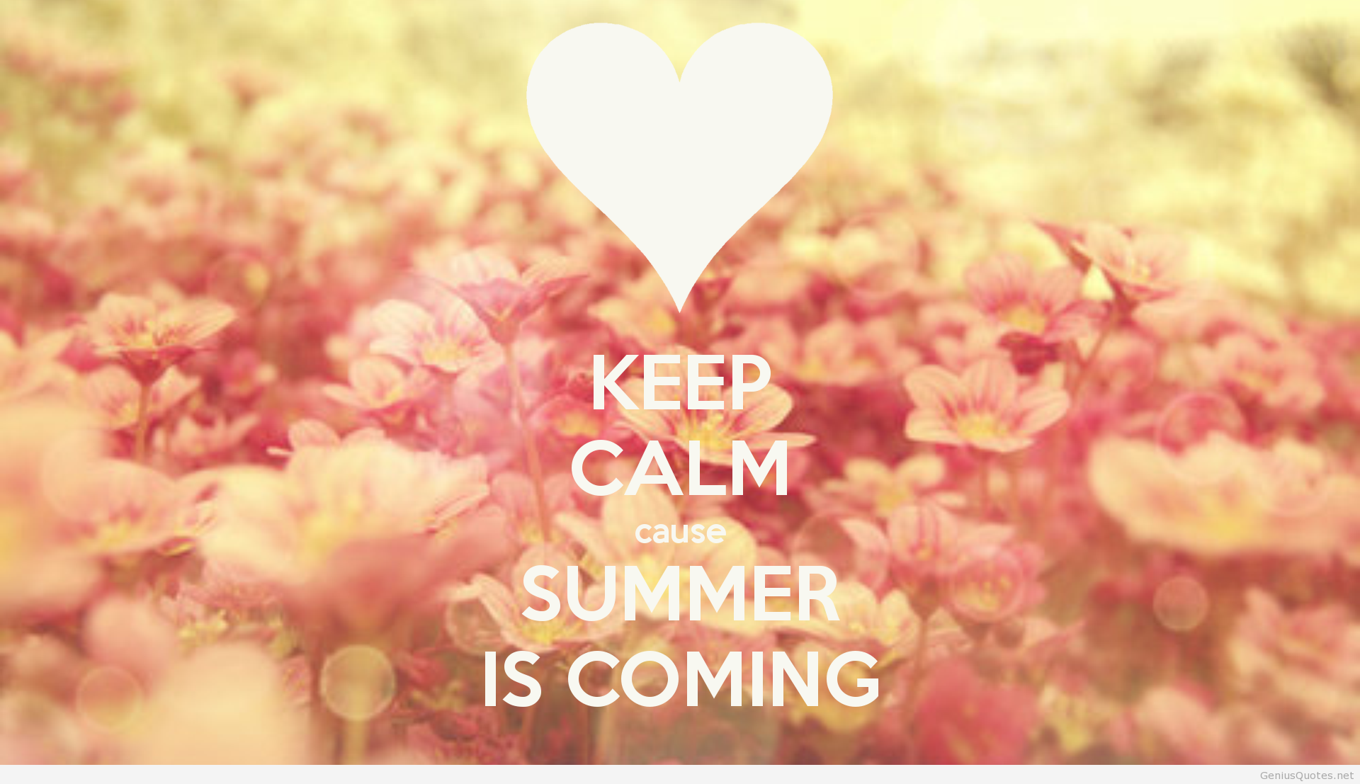 HD-wallpaper-summer-is-coming-quote