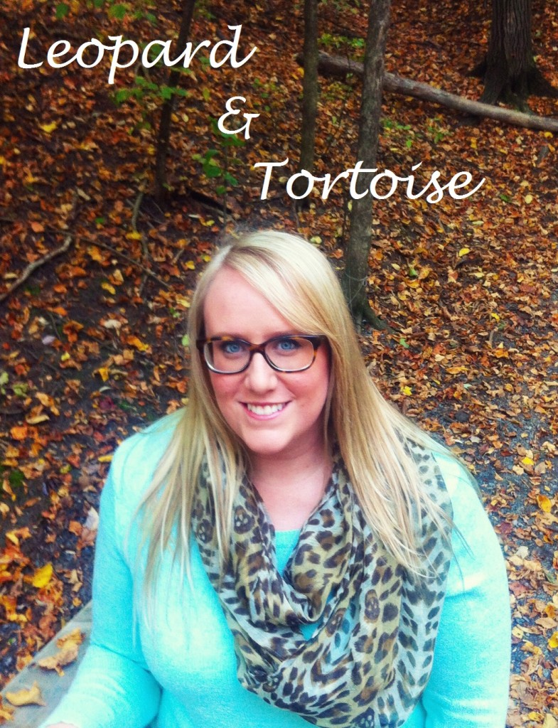 fall frames tortoise