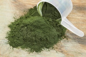 spirulina powder scoop